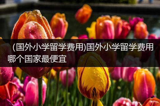 （国外小学留学费用)国外小学留学费用哪个国家最便宜