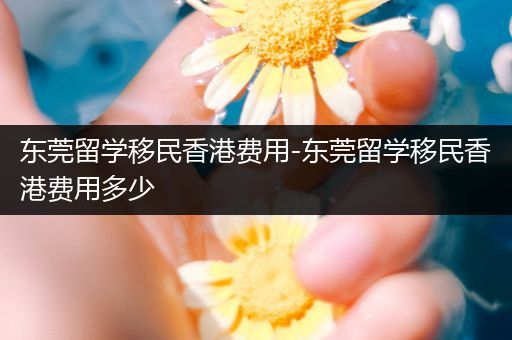 东莞留学移民香港费用-东莞留学移民香港费用多少