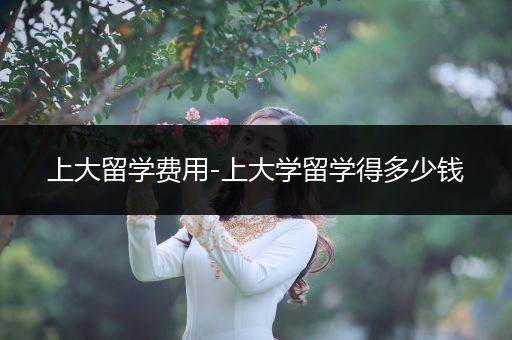 上大留学费用-上大学留学得多少钱
