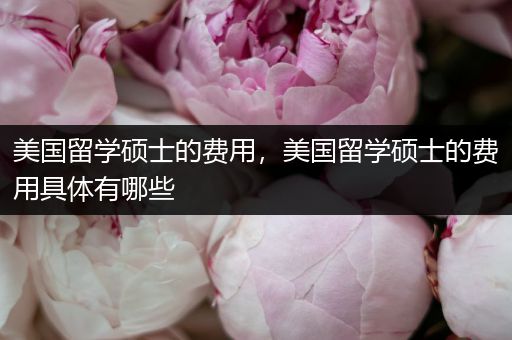 美国留学硕士的费用，美国留学硕士的费用具体有哪些