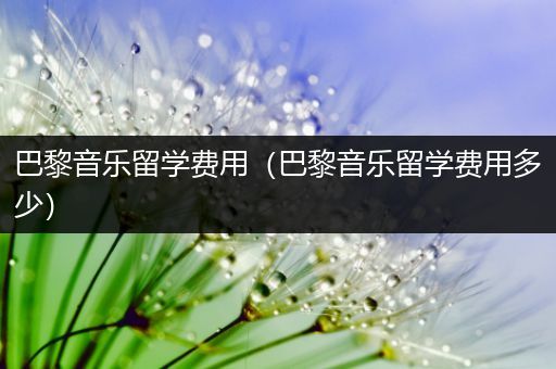 巴黎音乐留学费用（巴黎音乐留学费用多少）