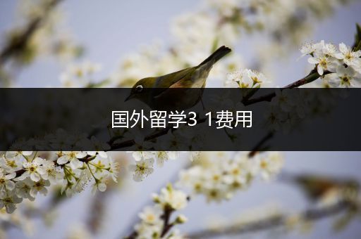 国外留学3 1费用