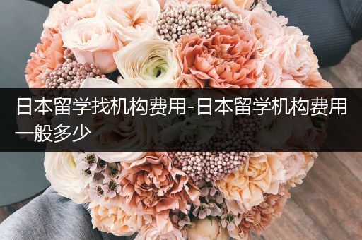 日本留学找机构费用-日本留学机构费用一般多少