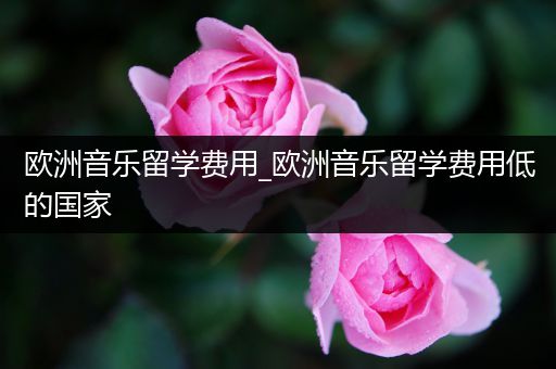 欧洲音乐留学费用_欧洲音乐留学费用低的国家