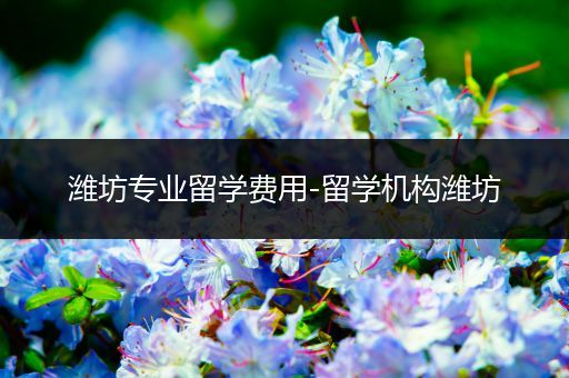 潍坊专业留学费用-留学机构潍坊