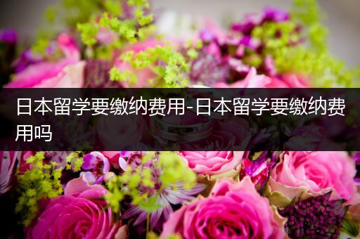 日本留学要缴纳费用-日本留学要缴纳费用吗
