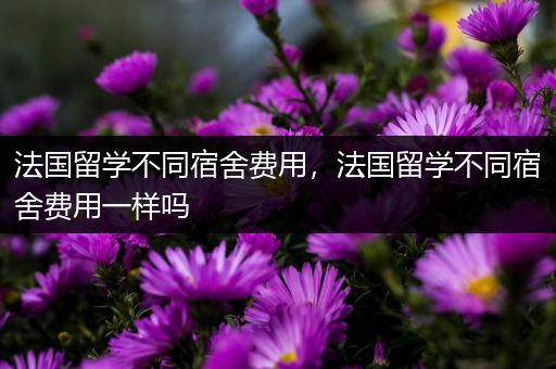 法国留学不同宿舍费用，法国留学不同宿舍费用一样吗