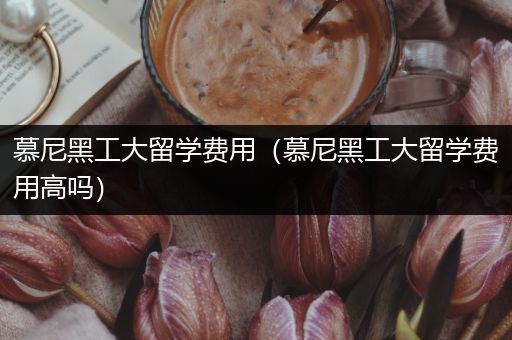 慕尼黑工大留学费用（慕尼黑工大留学费用高吗）