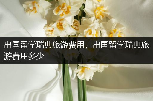 出国留学瑞典旅游费用，出国留学瑞典旅游费用多少