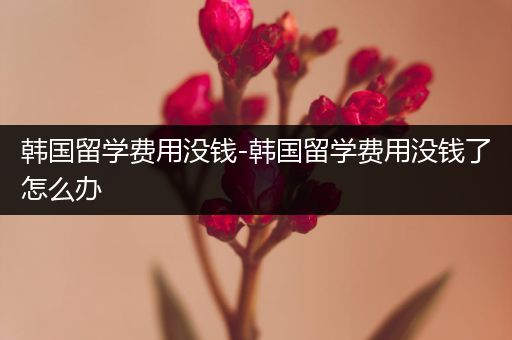 韩国留学费用没钱-韩国留学费用没钱了怎么办