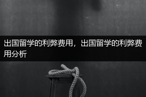 出国留学的利弊费用，出国留学的利弊费用分析