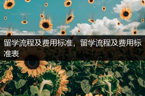 留学流程及费用标准，留学流程及费用标准表