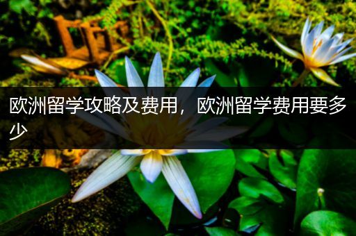 欧洲留学攻略及费用，欧洲留学费用要多少
