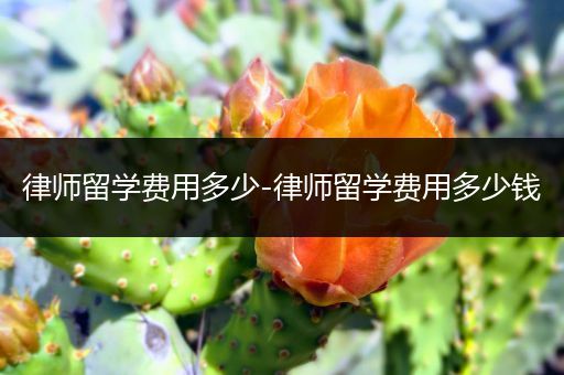 律师留学费用多少-律师留学费用多少钱