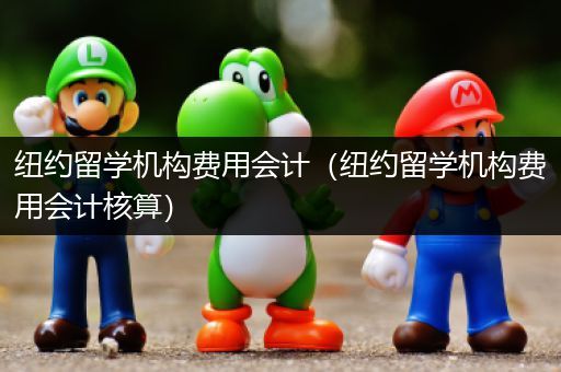 纽约留学机构费用会计（纽约留学机构费用会计核算）