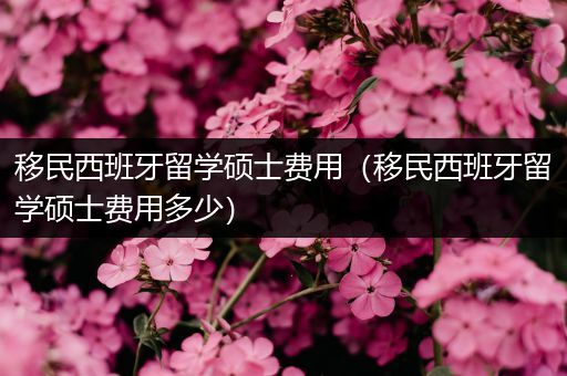 移民西班牙留学硕士费用（移民西班牙留学硕士费用多少）
