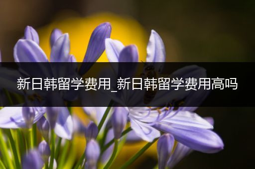新日韩留学费用_新日韩留学费用高吗