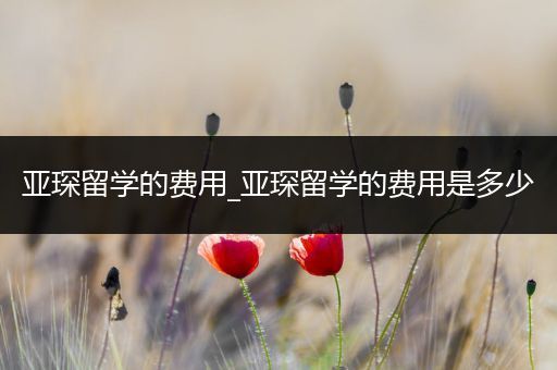 亚琛留学的费用_亚琛留学的费用是多少