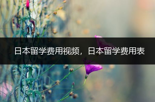 日本留学费用视频，日本留学费用表