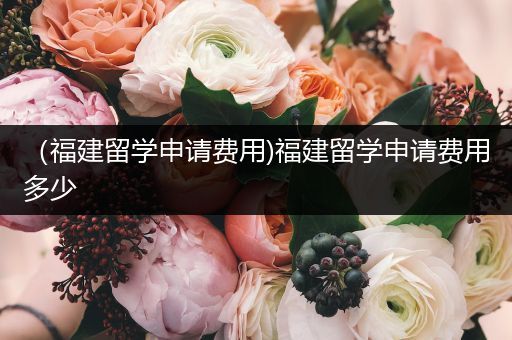 （福建留学申请费用)福建留学申请费用多少