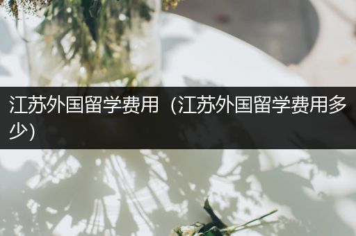 江苏外国留学费用（江苏外国留学费用多少）