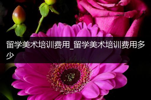 留学美术培训费用_留学美术培训费用多少
