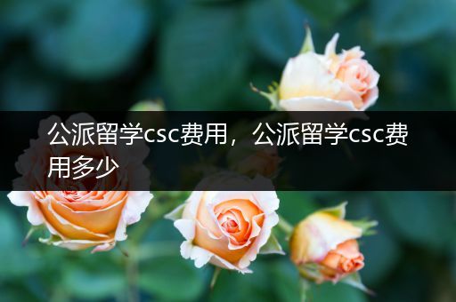 公派留学csc费用，公派留学csc费用多少