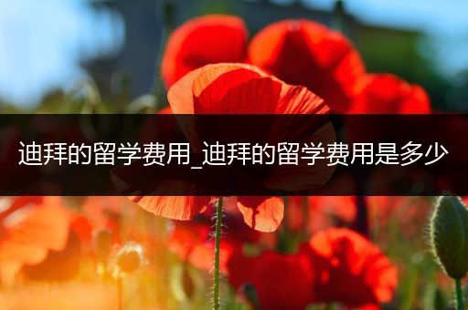 迪拜的留学费用_迪拜的留学费用是多少