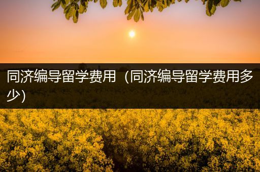 同济编导留学费用（同济编导留学费用多少）