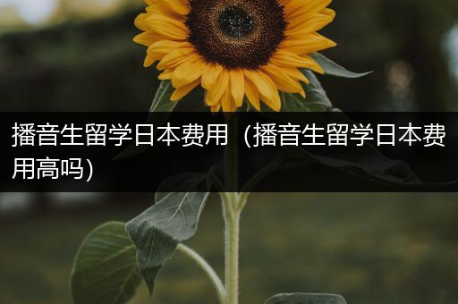 播音生留学日本费用（播音生留学日本费用高吗）