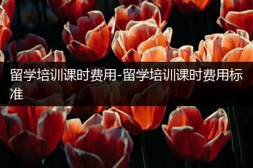 留学培训课时费用-留学培训课时费用标准