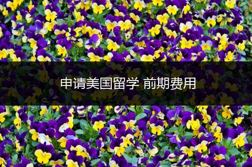 申请美国留学 前期费用