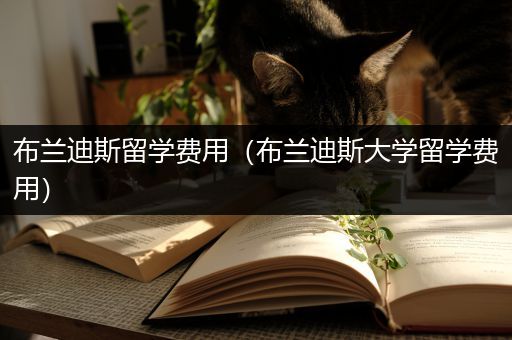 布兰迪斯留学费用（布兰迪斯大学留学费用）