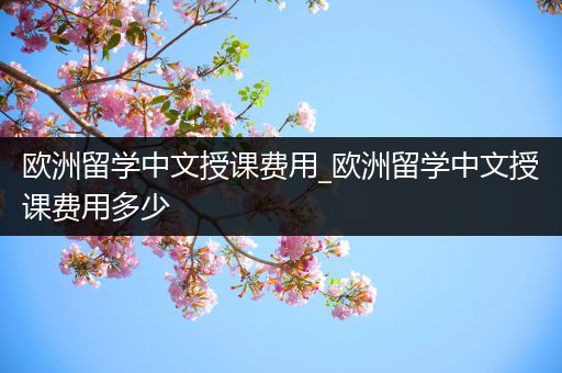 欧洲留学中文授课费用_欧洲留学中文授课费用多少