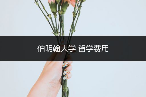 伯明翰大学 留学费用