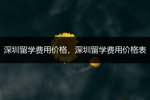 深圳留学费用价格，深圳留学费用价格表