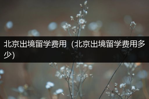 北京出境留学费用（北京出境留学费用多少）