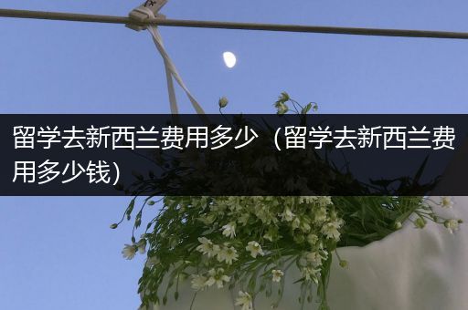 留学去新西兰费用多少（留学去新西兰费用多少钱）