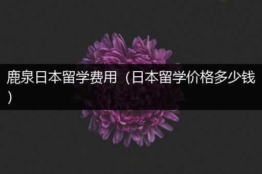 鹿泉日本留学费用（日本留学价格多少钱）