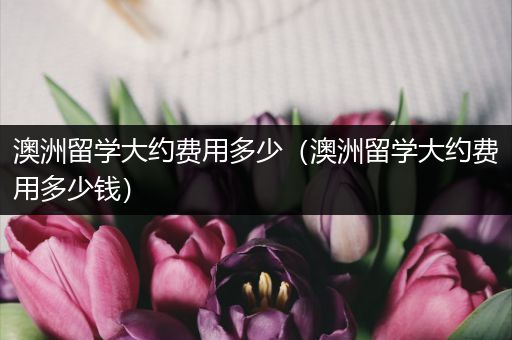 澳洲留学大约费用多少（澳洲留学大约费用多少钱）
