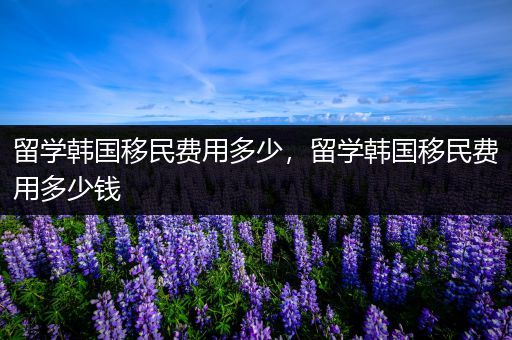 留学韩国移民费用多少，留学韩国移民费用多少钱