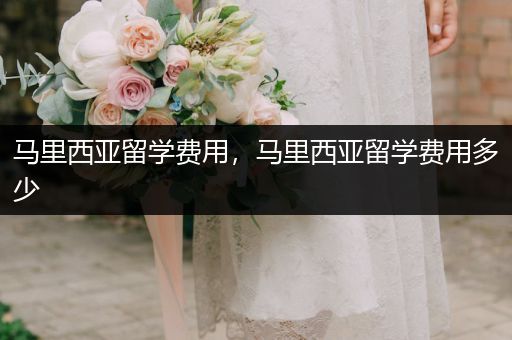 马里西亚留学费用，马里西亚留学费用多少