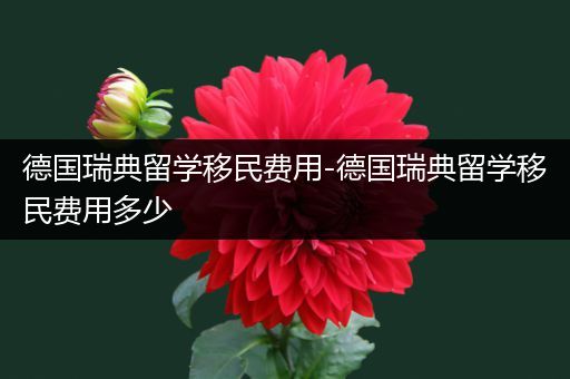 德国瑞典留学移民费用-德国瑞典留学移民费用多少