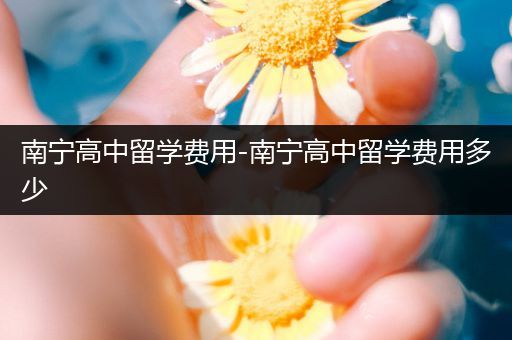 南宁高中留学费用-南宁高中留学费用多少