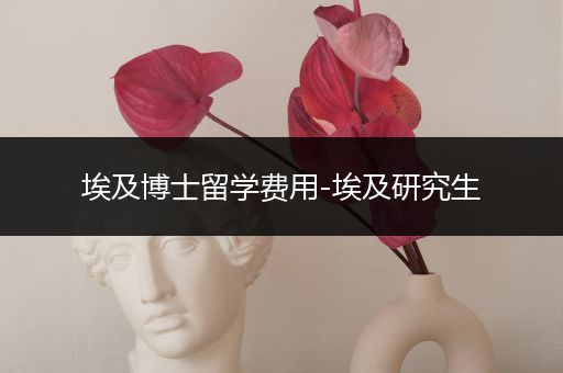 埃及博士留学费用-埃及研究生