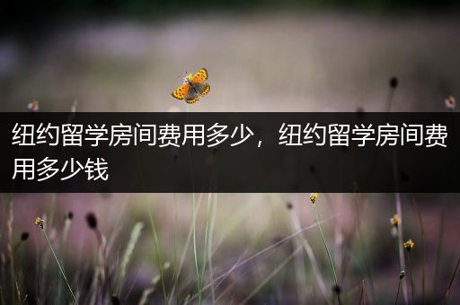 纽约留学房间费用多少，纽约留学房间费用多少钱