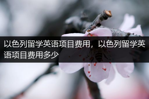 以色列留学英语项目费用，以色列留学英语项目费用多少