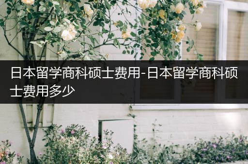 日本留学商科硕士费用-日本留学商科硕士费用多少