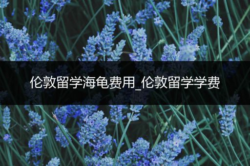伦敦留学海龟费用_伦敦留学学费