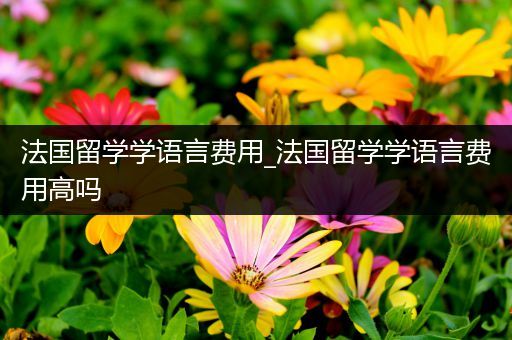 法国留学学语言费用_法国留学学语言费用高吗